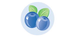 blaubeere-7-ssw Baby Größe 7. Schwangerschaftswoche