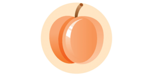 nektarine-14-ssw Baby Größe 14. Schwangerschaftswoche