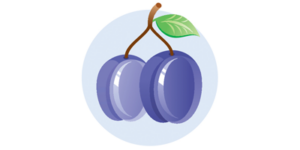 pflaume-13-ssw Baby Größe 13. Schwangerschaftswoche