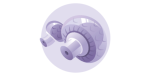 pilze-11-ssw Baby Größe 11. Schwangerschaftswoche